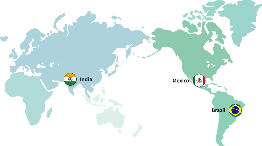 인도 현지법인, 멕시코 현지법인, 브라질 현지법인